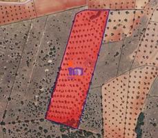 Chalet en venta en San Carlos del Valle, San Carlos Del Valle photo 0