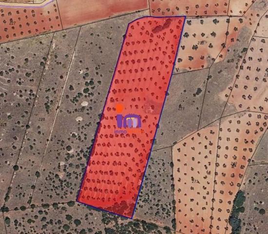 Chalet en venta en San Carlos del Valle, San Carlos Del Valle photo 0