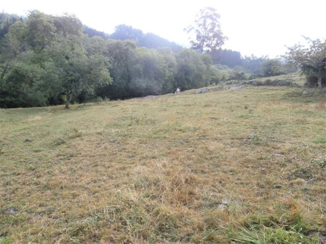 Terreno en venta en Salas, Cornellana photo 0