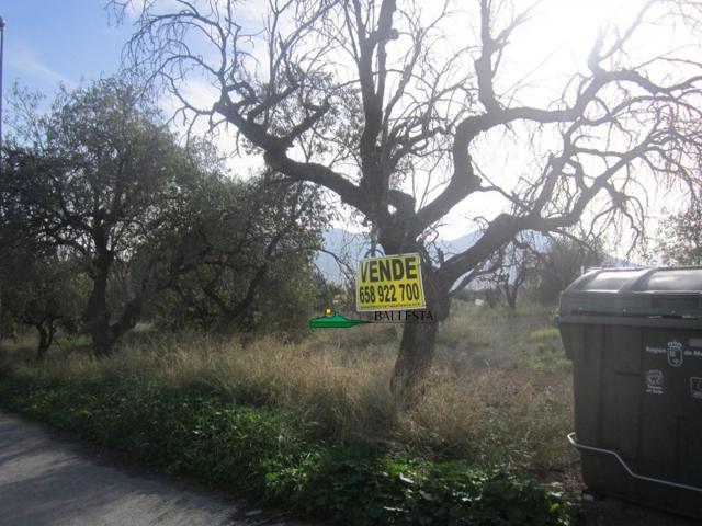 Terreno en venta en Huércal-Overa, Gonar - Huercal-Overa photo 0