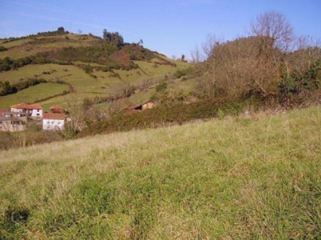 Terreno en venta en Salas, Salas photo 0