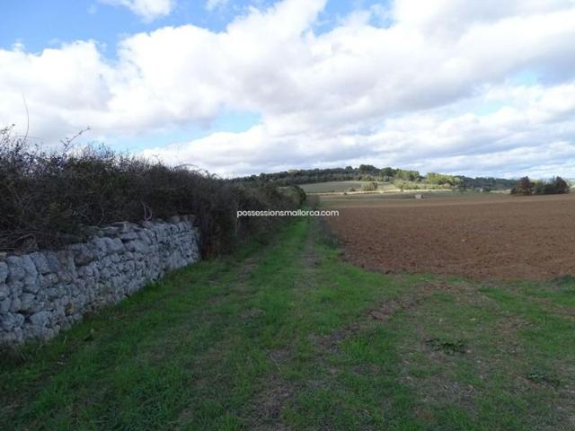 Terreno en venta en Algaida, Afueras photo 0