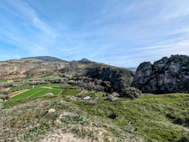 Chalet en venta en Loja, Recta plines y Jardin de Narvaez photo 0