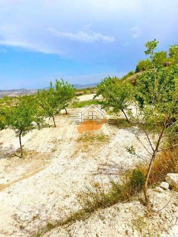 Terreno en venta en Vélez-Blanco, Velez-Blanco photo 0