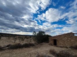 Chalet en venta en Seròs, Seros photo 0