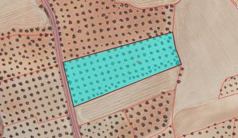 Chalet en venta en Santa Cruz de Mudela, Santa Cruz De Mudela photo 0