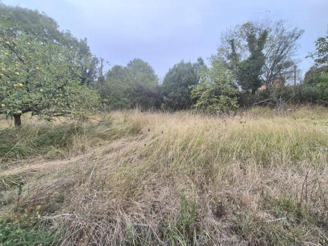 Terreno en venta en Grado, Grado photo 0