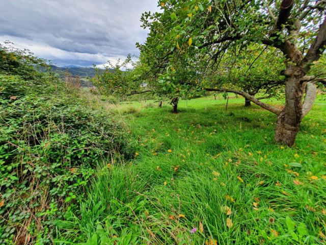 Terreno en venta en Candamo, Candamo photo 0