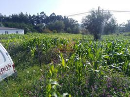 Terreno en venta en San Sadurniño, San Sadurnino photo 0