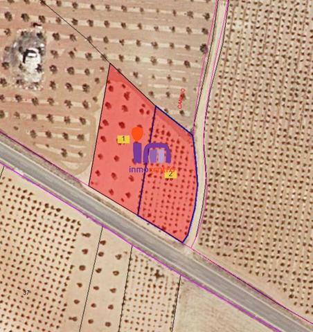 Chalet en venta en Valdepeñas, Carretera de Cozar photo 0