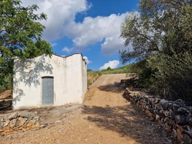 Chalet en venta en Freginals, Freginals photo 0