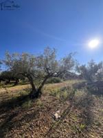 Chalet en venta en Godall, Godall photo 0