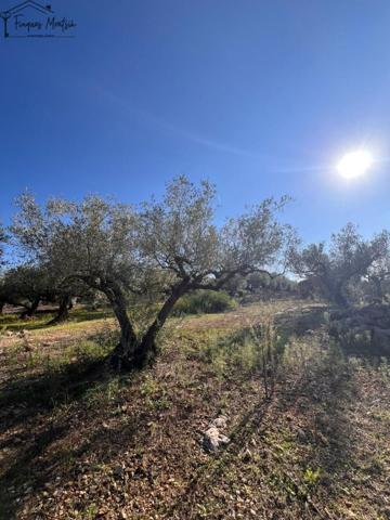 Chalet en venta en Godall, Godall photo 0