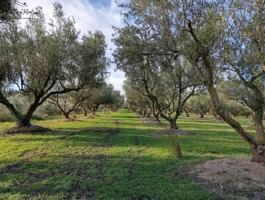 Chalet en venta en Ulldecona, Ulldecona photo 0