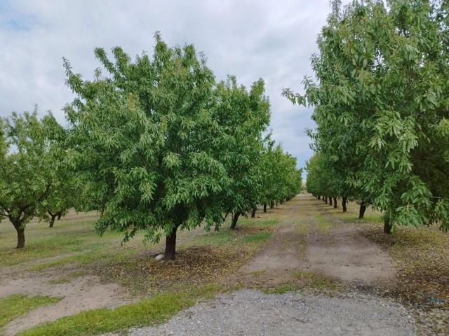 Chalet en venta en Puigverd de Lleida, Puigverd De Lleida photo 0