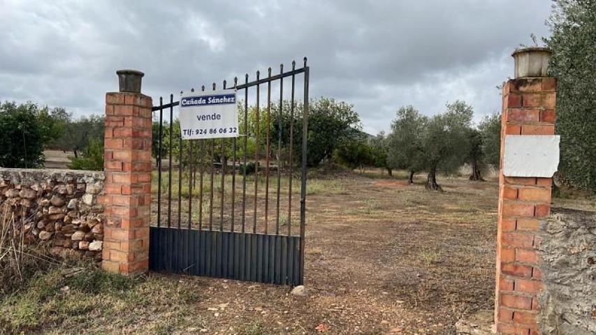 Chalet en venta en Navalvillar de Pela, Canaditas photo 0