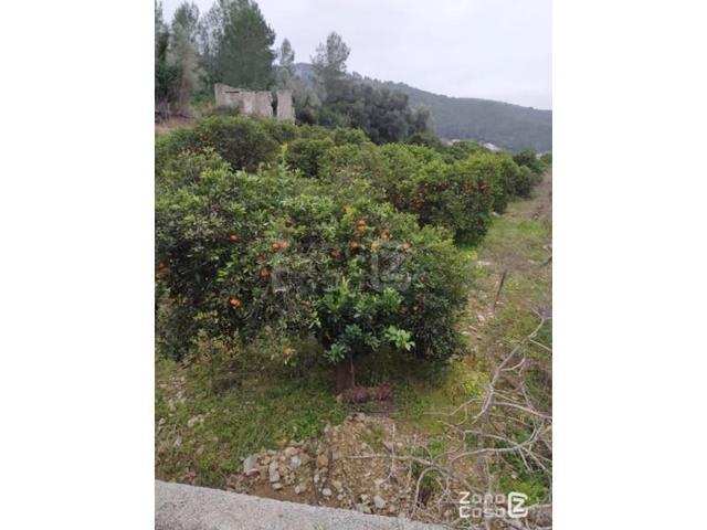 Chalet en venta en Alzira, La Murta photo 0