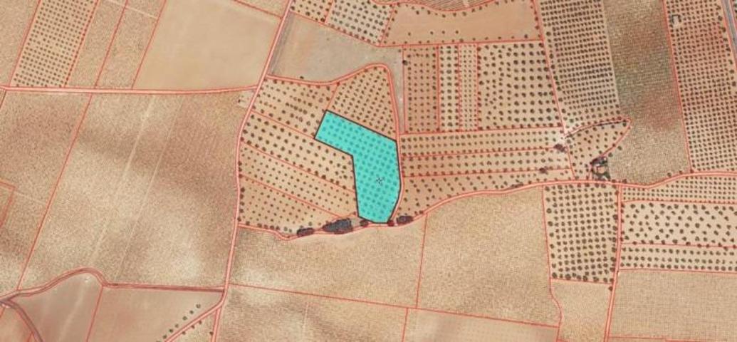 Chalet en venta en Valdepeñas, Carretera Torre Nueva photo 0