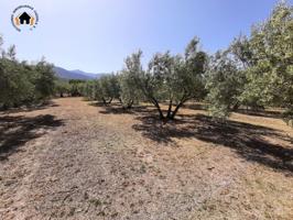 Terreno en venta en Quesada, Quesada photo 0
