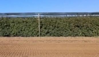 Chalet en venta en Castelldans, Castelldans photo 0