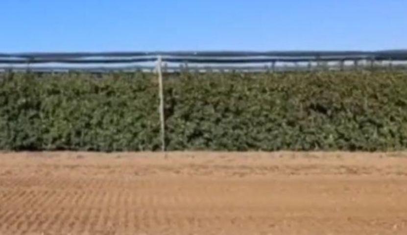 Chalet en venta en Castelldans, Castelldans photo 0