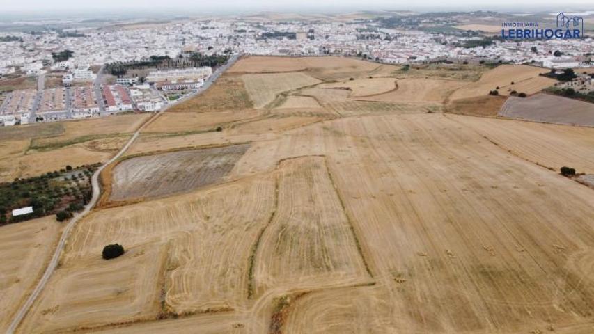 Terreno en venta en Lebrija, Crta. El Cuervo photo 0