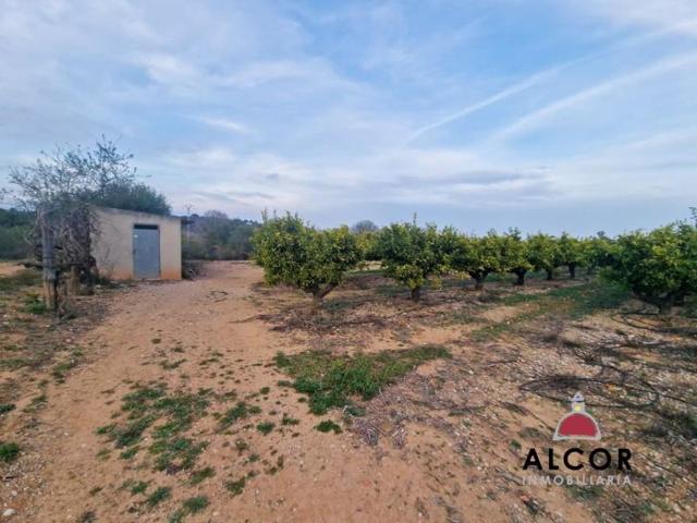 Terreno en venta en Càlig, Calig photo 0