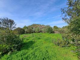 Terreno en venta en Carcaixent, Área de Carcaixent photo 0