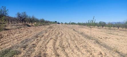 Terreno en venta en Aledo photo 0