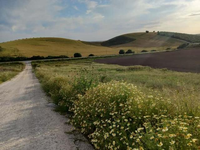 Chalet en venta en Arcos de la Frontera, Alrededores photo 0