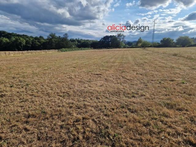 Terreno en venta en Siero, Vega de Poja photo 0