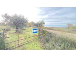 Chalet en venta en Barrado photo 0