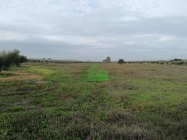 Terreno en venta en Torremayor photo 0