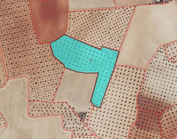 Chalet en venta en Santa Cruz de Mudela, Santa Cruz De Mudela photo 0