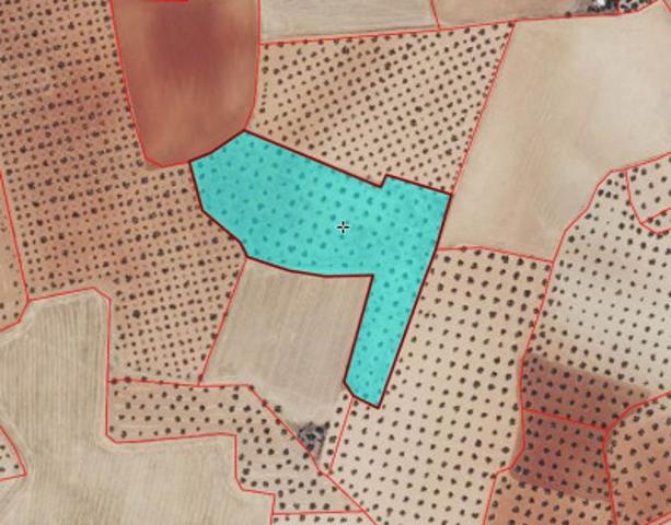 Chalet en venta en Santa Cruz de Mudela, Santa Cruz De Mudela photo 0