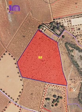 Chalet en venta en Valdepeñas, Periferia photo 0