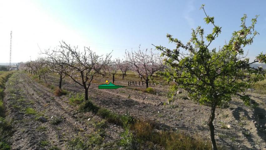 Chalet en venta en Huércal-Overa, Huercal-Overa photo 0