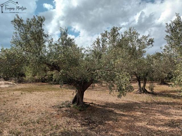 Chalet en venta en Tortosa, Coll de L'Alba photo 0