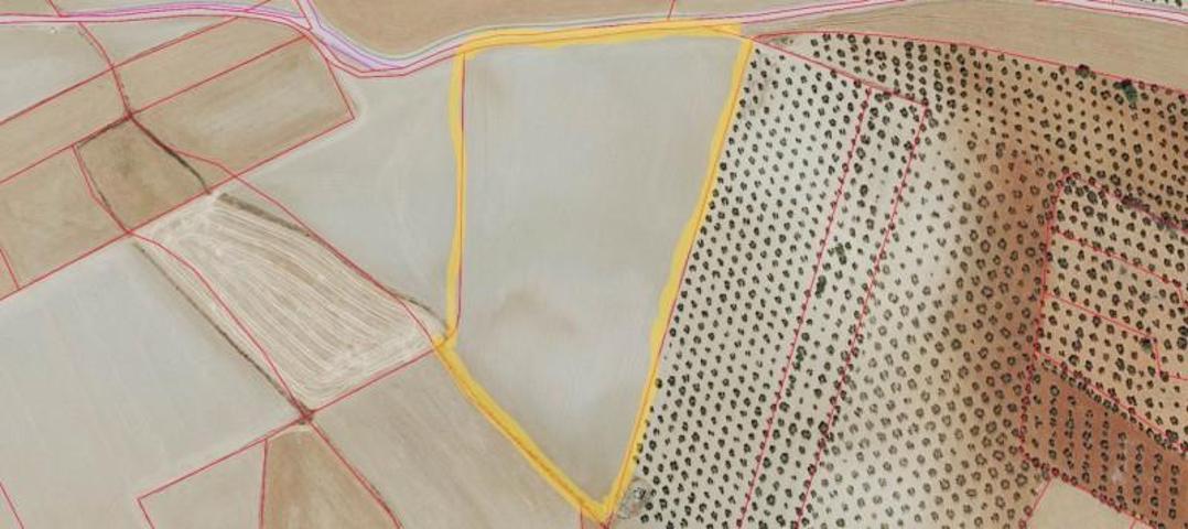 Terreno en venta en Berlanga, Berlanga photo 0