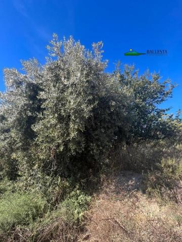 Chalet en venta en Huércal-Overa, Santa Maria de Nieva - La Loma photo 0