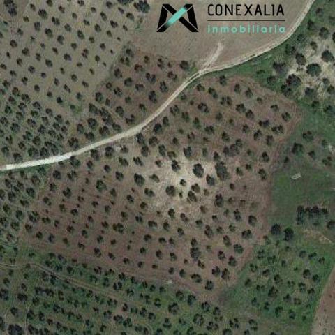 Chalet en venta en Olvera, Olvera photo 0