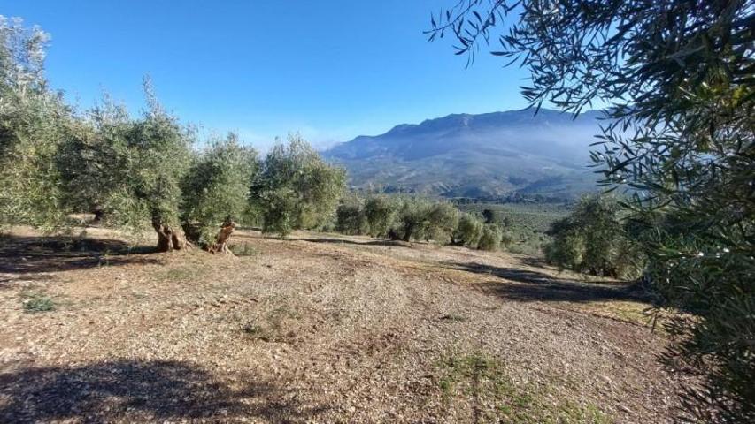 Chalet en venta en Quesada, Rustica - Fique photo 0