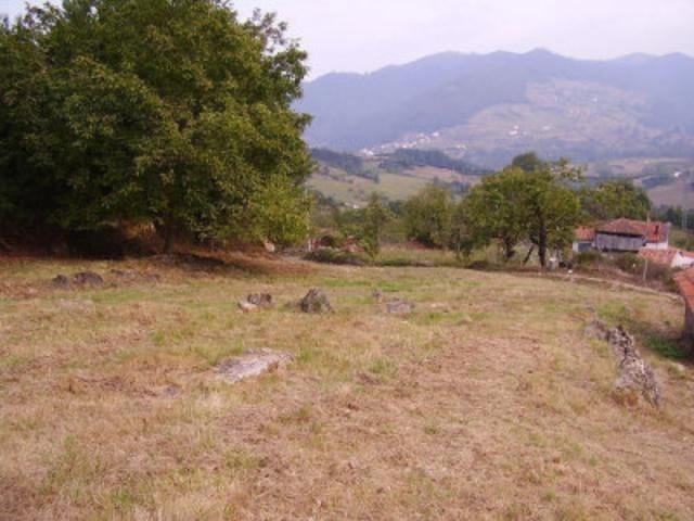 Terreno en venta en Candamo, Candamo photo 0