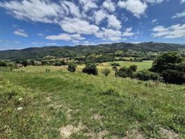 Terreno en venta en Grado, Grado photo 0