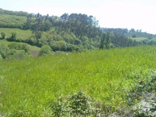 Terreno en venta en Las Regueras, Las Regueras photo 0