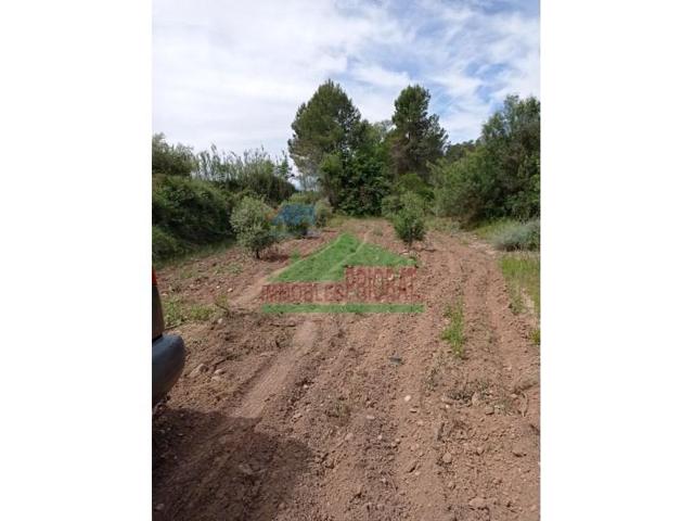 Chalet en venta en El Masroig photo 0