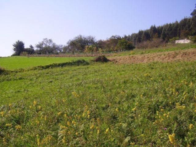 Terreno en venta en Cudillero, Cudillero photo 0