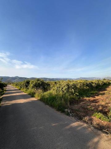 Terreno en venta en Beniarbeig, Beniarbeig photo 0