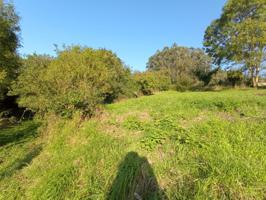 Terreno en venta en Candamo, Candamo photo 0