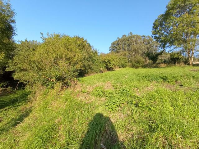 Terreno en venta en Candamo, Candamo photo 0